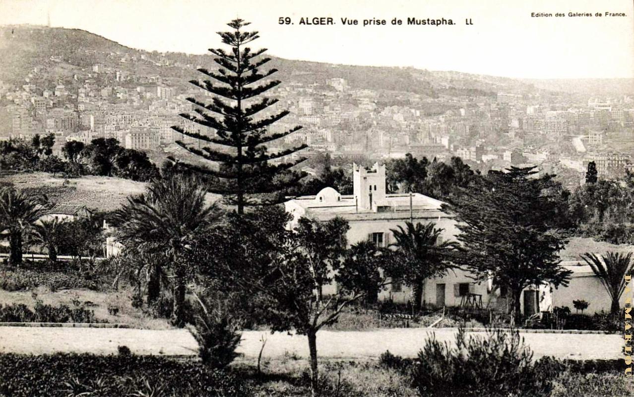 Alger - Vue prise de Mustapha.jpg